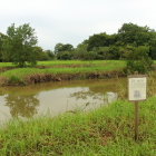東の泉水(館の舟着場)