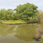 曲輪Nと奥に曲輪O