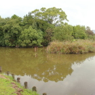 南西から見た構口･小路のある曲輪