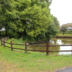 曲輪E(左)と曲輪D(右奥)