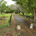 曲輪Uから曲輪Rへの土橋