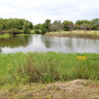 お庵の内方面から見た城屋敷