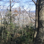 東から北の眺めがよい