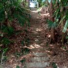 富士神社参道の階段