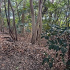 腰郭が周囲を囲む