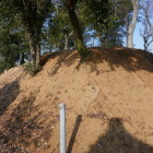 養生されている