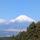 西の丸から見た富士山
