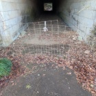 トンネルくぐっていく