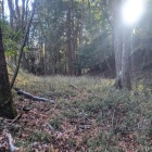 堀切のようでもあり郭のようでもある