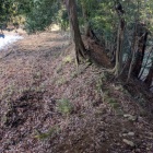 主郭土塁　東側