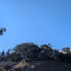 たこあげやってる