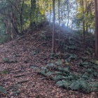 主郭を見上げる