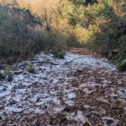 ここから西方城へは行けそうもない