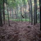 ここで引き返す