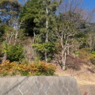 この上がポイントだけど周囲は宅地