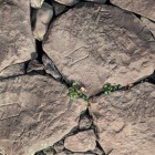 同じ刻印がいっぱい