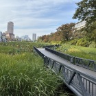 水堀に浮かぶ遊歩道