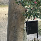 戦時中に残された落書き