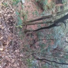 向きがおかしいですが、空堀です。