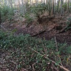 北側の空堀（内側）