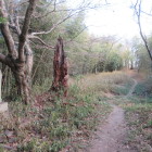 北東尾根の曲輪