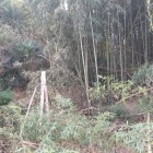 ココはお城の跡だと伝わっているそうです