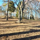 主郭全景＆後村上天皇聖蹟之碑