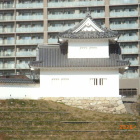 東曲輪復元隅櫓南面