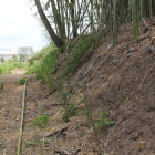 志知城本丸西竹林整備土塁切岸