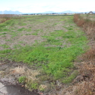 田圃、微高地？