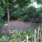 拝殿東奥に空の池