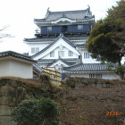 天守閣東面、樹木伐採されて天守が良く観える