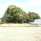 南より陣屋跡八百富神社の杜を見る