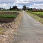 同左より南方面を見る一面の畑