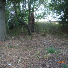 同左東手に土塁か？