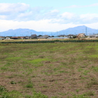 関東平野の田圃、遠くに榛名山？