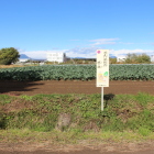 藤大明神北裏の畑地に下川淵カルタ札に宿阿内城跡記される