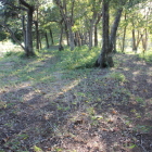 本丸西の土塁上、広い