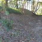 本丸北の土塁を北側より