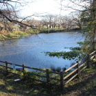 磯沼、周辺は公園化されています