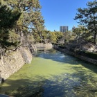 籠城堀と風呂屋曲輪外周の石垣