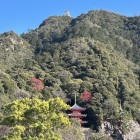 麓から見上げた天守に上弦の月