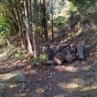 ここに進入してはいけないとの表示