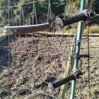 登城口の電気柵