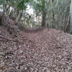 郭下を回らせる登城道