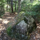 搦手の虎口か？