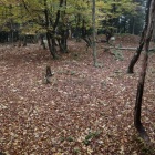 ９位田上山城：主郭