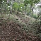 ６位上平寺城：畝状竪堀