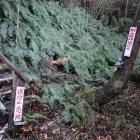 ここから行けない