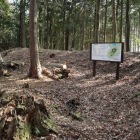 １０位土山城：主郭